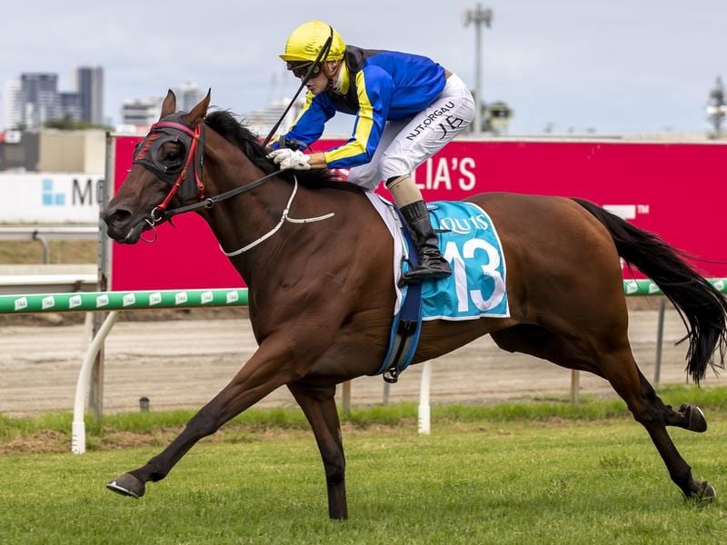 Motion Granted wins at the Gold Coast.