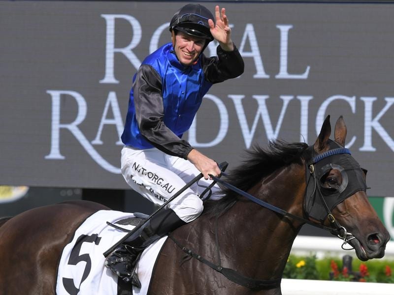 Shadow Hero returns to scale after winning the Randwick Guineas.