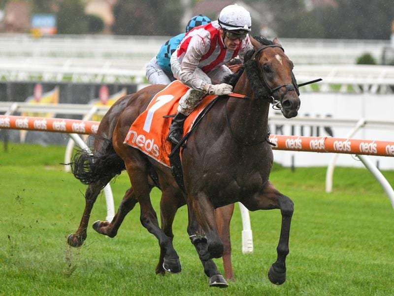 Super Seth is out of the Randwick Guineas.