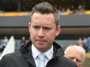Wet track no worry for Todman favourite