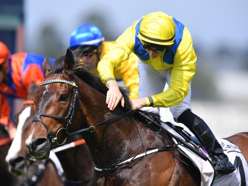 Young Rascal wins the Manion Cup at Rosehill.