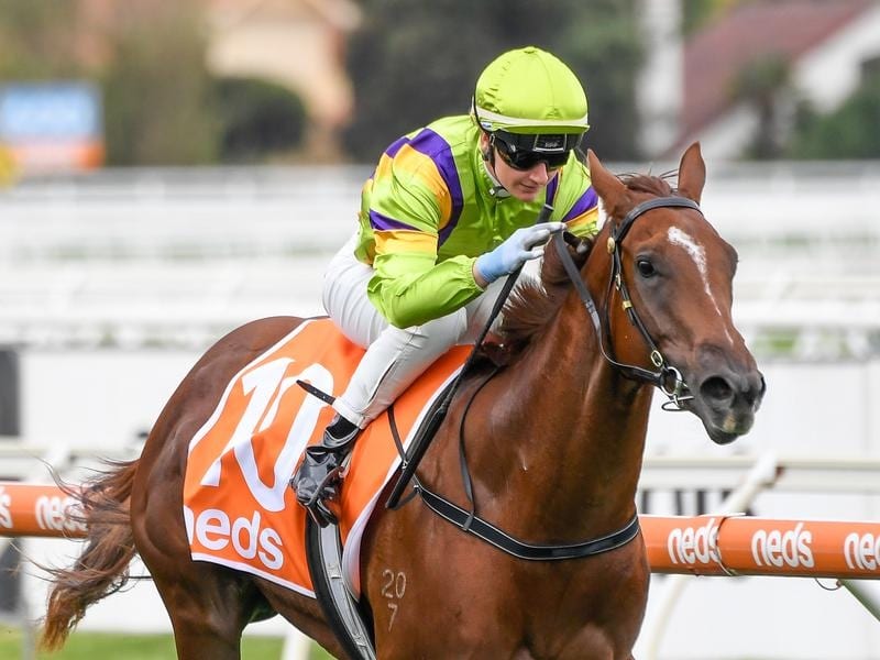 Jamie Kah rides Forever Free to victory in race 1 at Caulfield