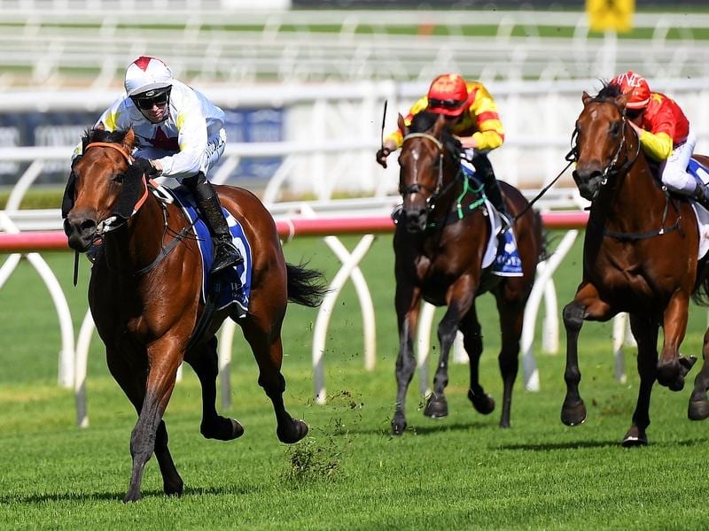 Brenton Avdulla rides Doubtland to victory in the Kindergarten Stakes