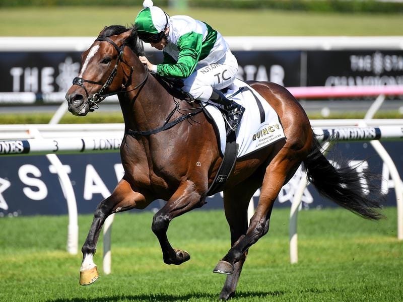 Tim Clark rides Entente to victory in the Carbine Club Stakes