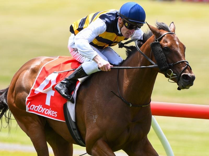 Azuro will contest the Sydney Cup.