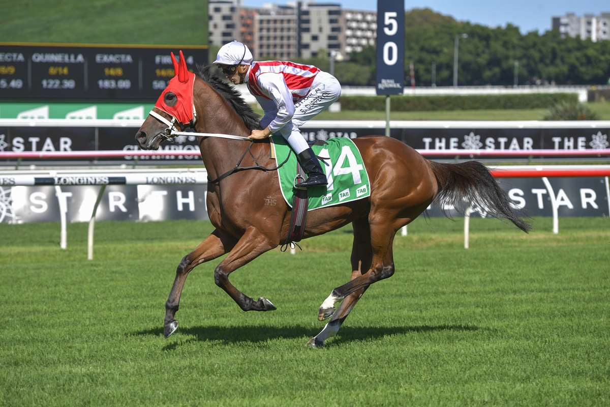 2022 Sky High Stakes Betting Guide Race Info History Odds