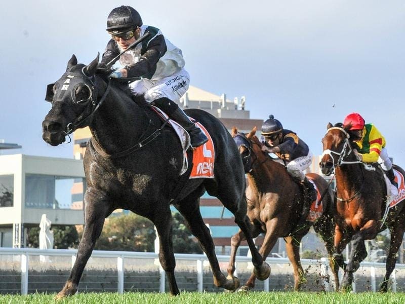 So Si Bon wins at Caulfield, his second victory in a row.