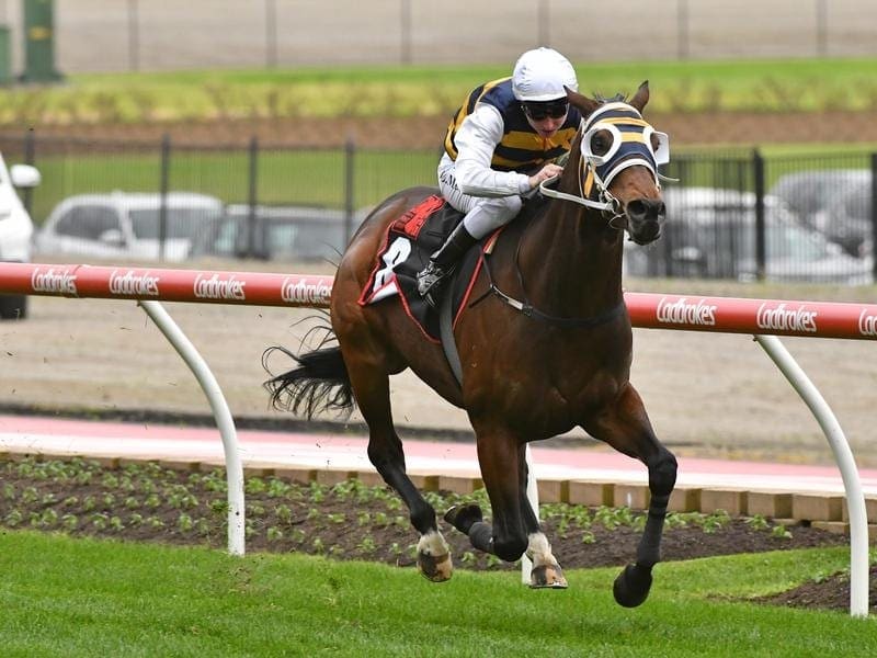 Inverloch to revert to usual racing pattern at Caulfield