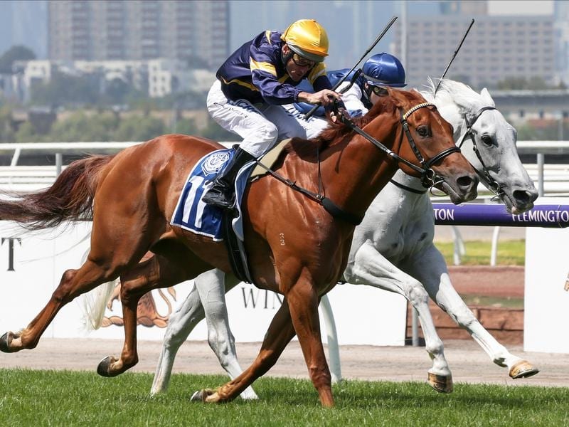 Hang Man will step up in distance at Caulfield.