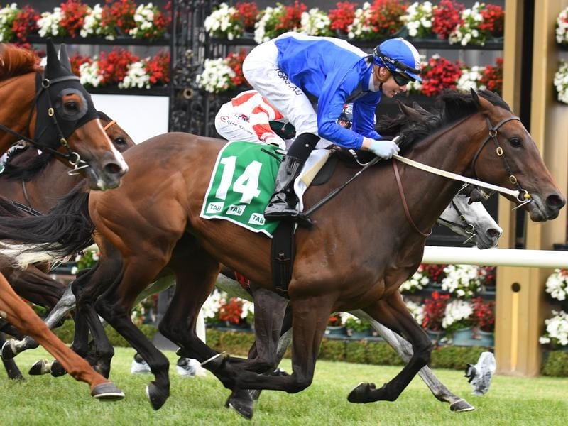 Oceanex wins the Matriarch Stakes at Flemington.