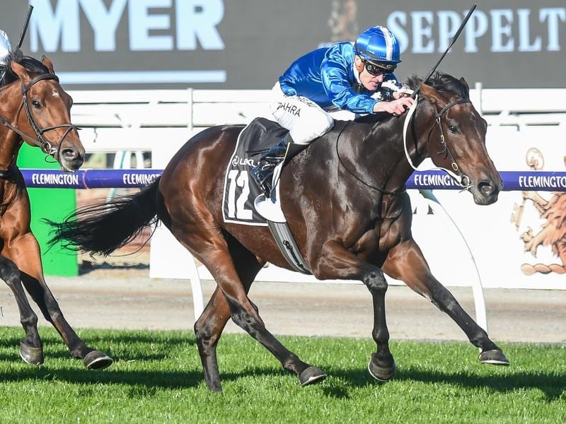 Oceanex has secured a berth in the 2020 Melbourne Cup.