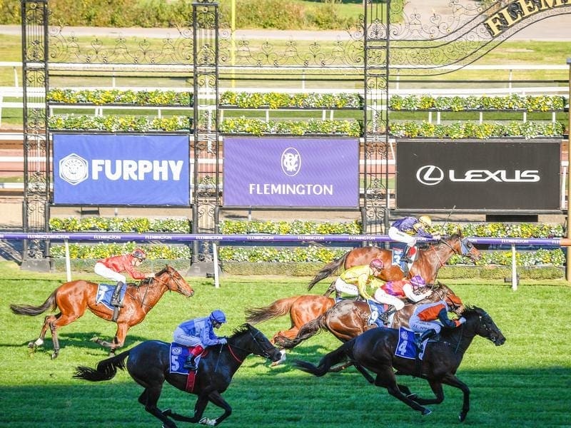 Prezado wins the Furphy Dash at Flemington.