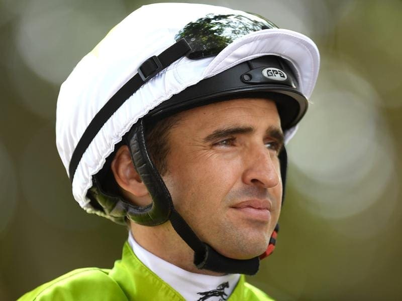 Jockey Michael Rodd