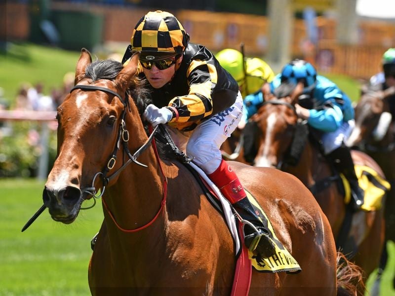 Behemoth will contest the Group One Goodwood.