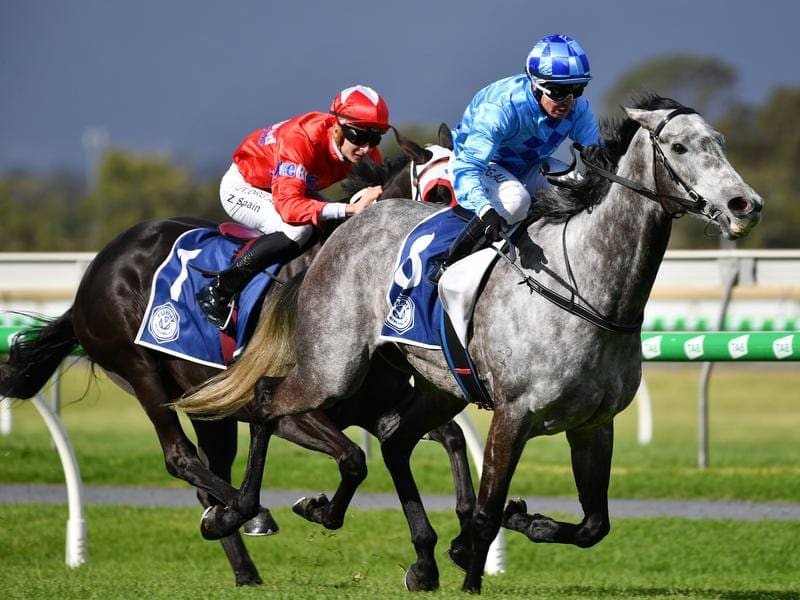 Shrouded In Mist wins the Queen Of The South Stakes.