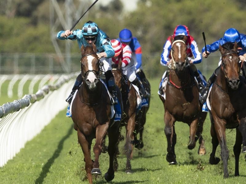 Anders (left) wins at Rosehill.