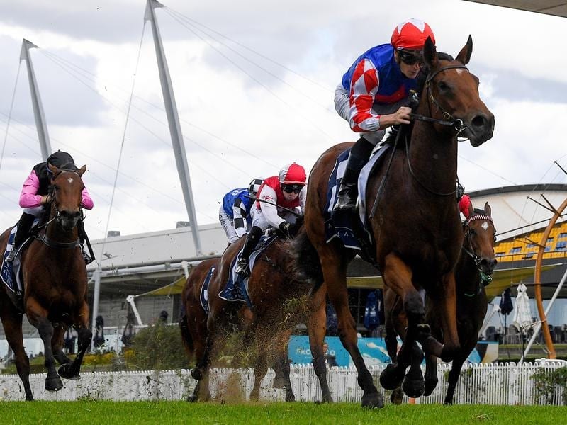 Macroura wins the Woodlands Stakes at Rosehill.