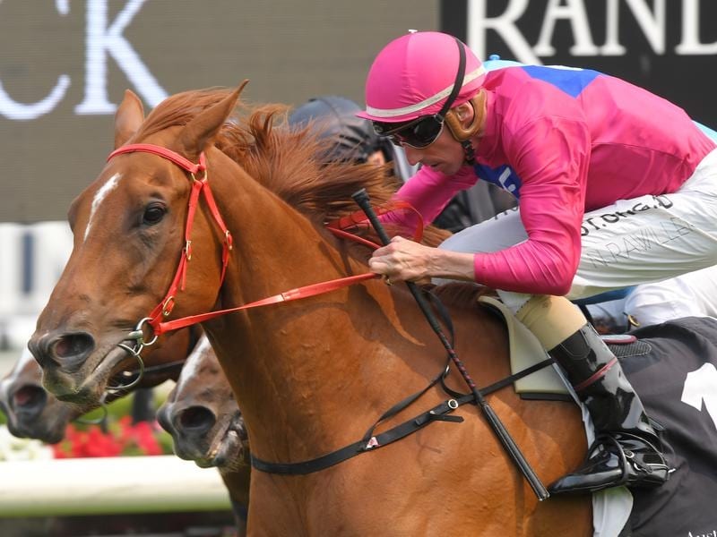Superium will return to racing at Rosehill.
