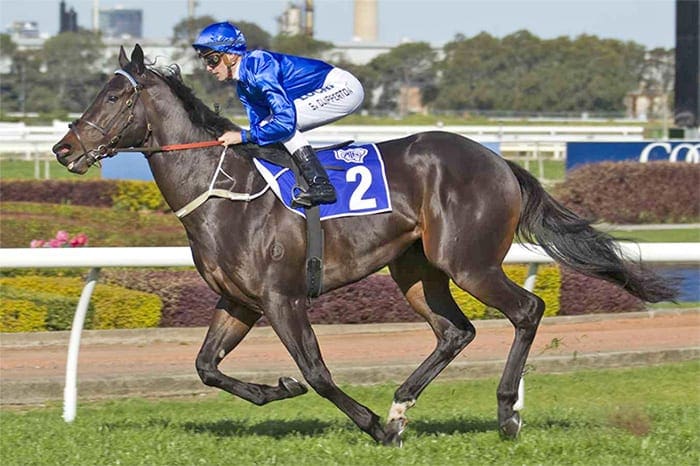 26+ Horse racing stables brisbane ideas in 2021 