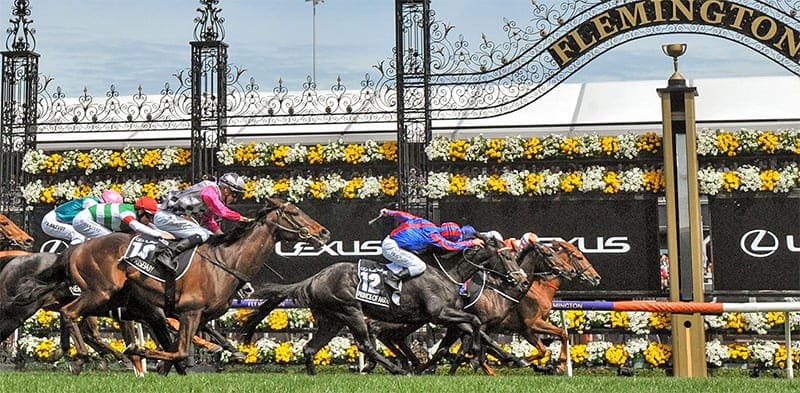 Melbourne Cup Betting