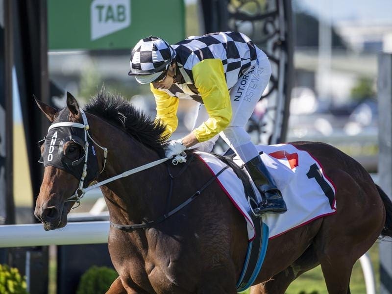 Ballistic Boy wins the Rough Habit Plate.