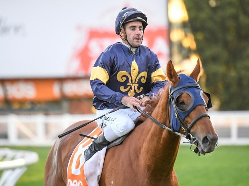 Mahamedeis will be tried over an extended journey at Flemington.