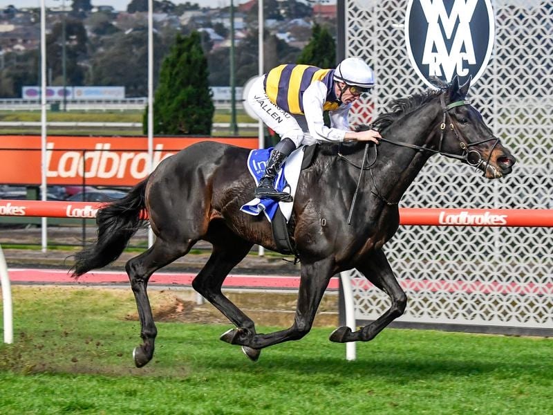 Harbour Views wins at The Valley.