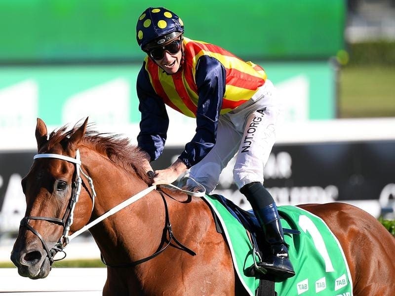 Nature Strip in winning the TJ Smith Stakes at Randwick.