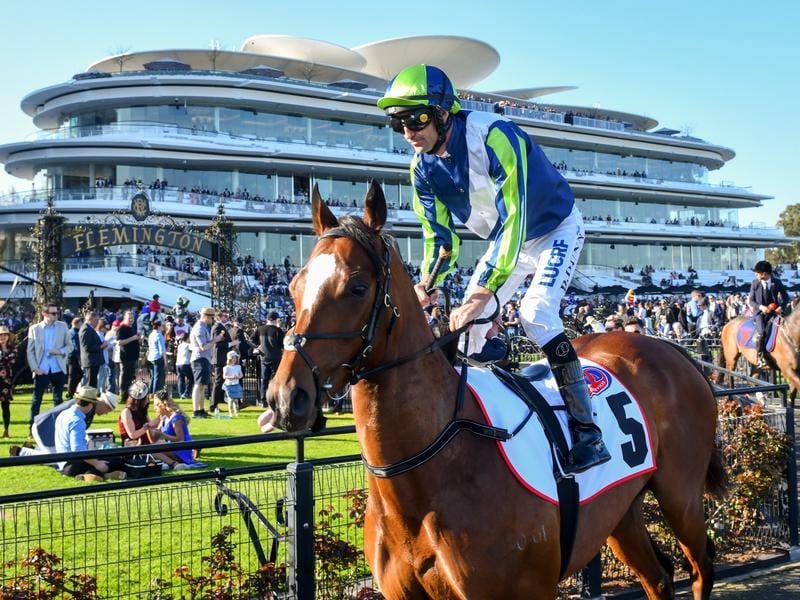 Rostropovich has been sidelined since the 2019 Melbourne Cup.