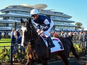 Williams’ Irish team readying for return Yucatan