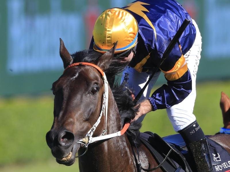 Mount Popa wins at Randwick.