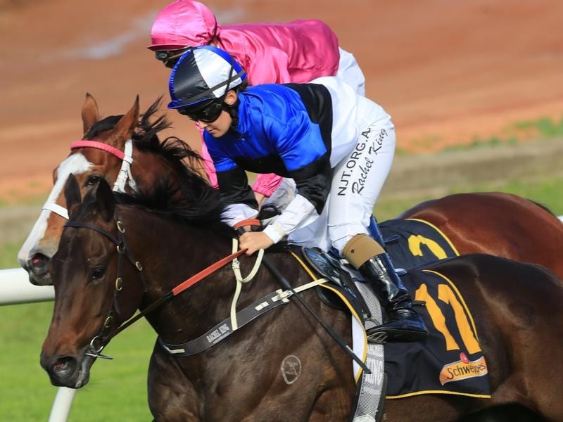 Soldier Of Love and Rachel King continue their association at Rosehill