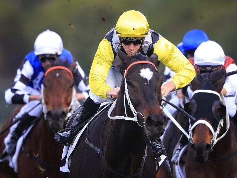 Frankely Awesome wins the WJ McKell Cup at Rosehill.