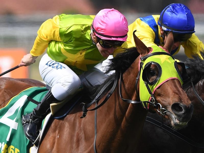 The John Sargent-trained Home Ground resumes racing at Rosehill.