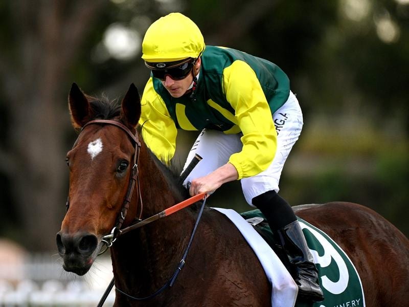 Adelong will be striving for her third win in a row at Rosehill.