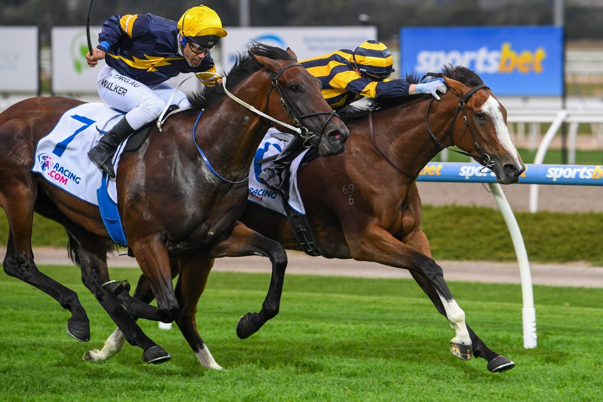 Sky s The Limit For Promising Filly