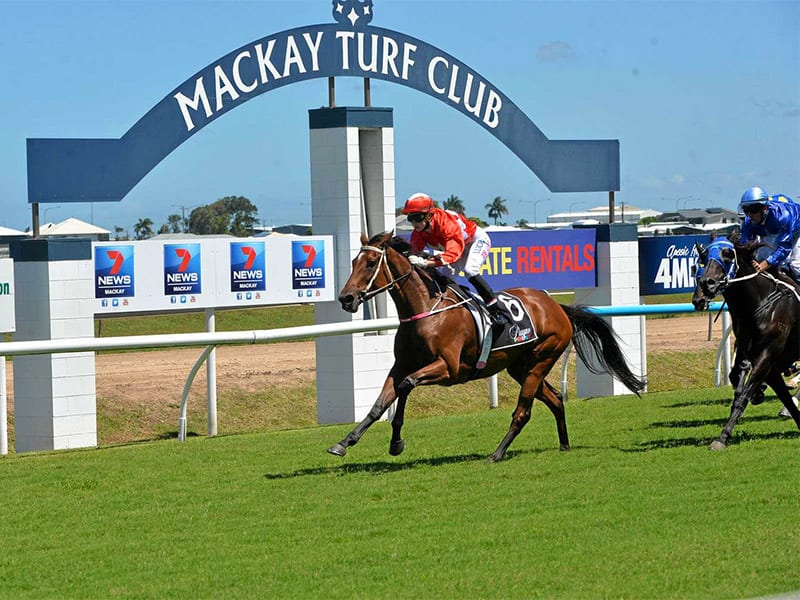 Mackay horse racing tips