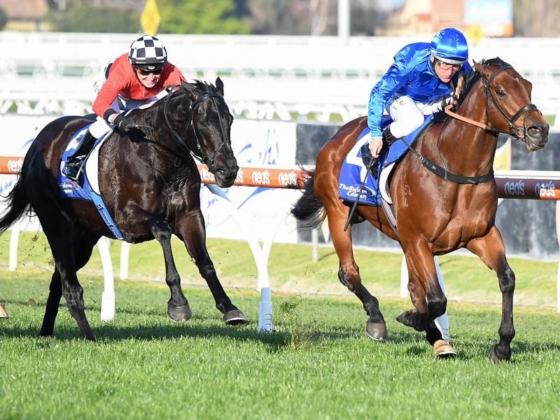 Viridine wins Bletchingly Stakes