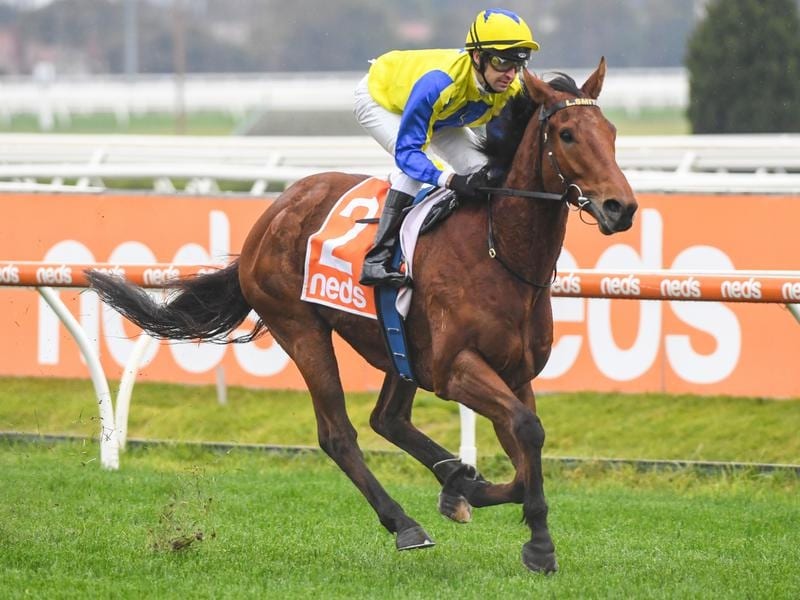 Mystery Shot cantered to an easy win at Caulfield.