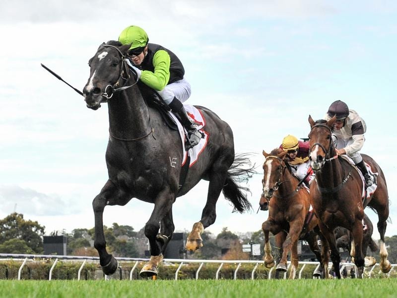 Persan chases fourth-straight city win at Caulfield