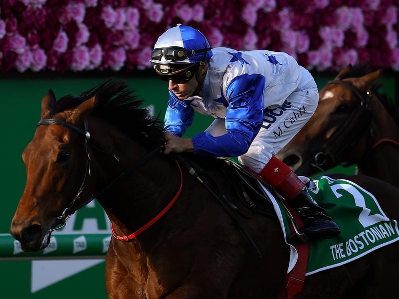 New Zealand gelding The Bostonian aimed at Sydney spring campaign