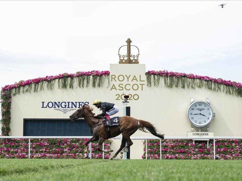 Stradivarius winning the Gold Cup at Royal Ascot.