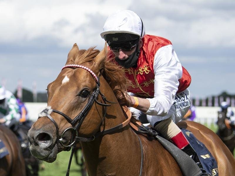 Golden Horde wins the Commonwealth Cup at Royal Ascot.