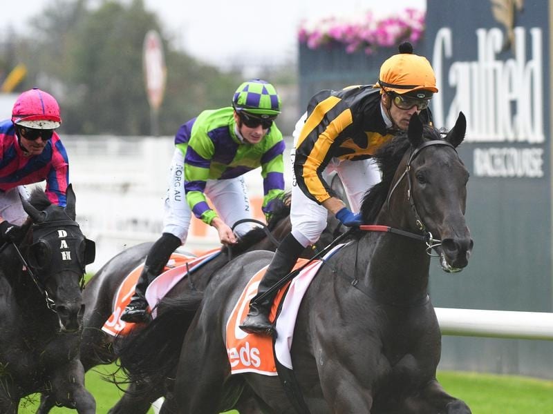 Nonconformist is being trained for the Caulfield Cup.