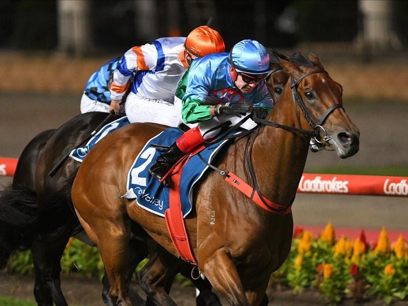 Scales Of Justice can win the Australia Stakes on Friday at Moonee Valley
