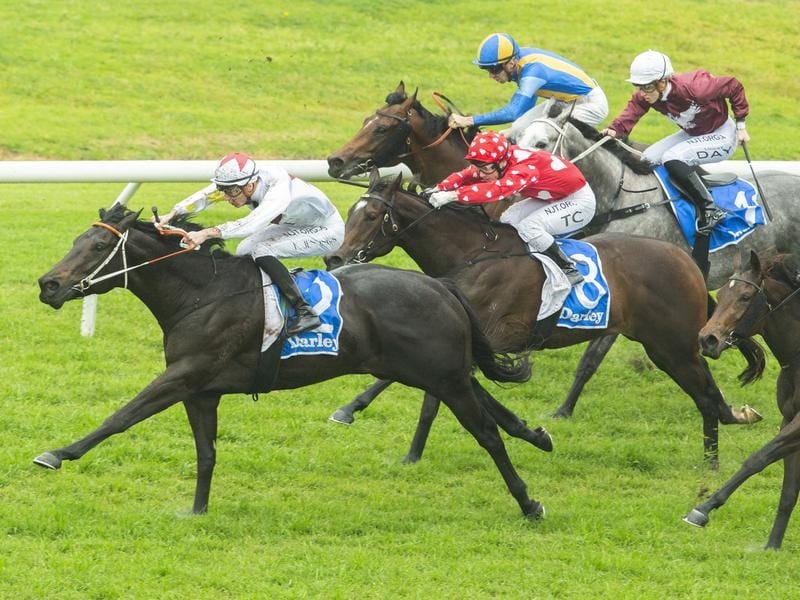 North Pacific wins stylishly at Rosehill.