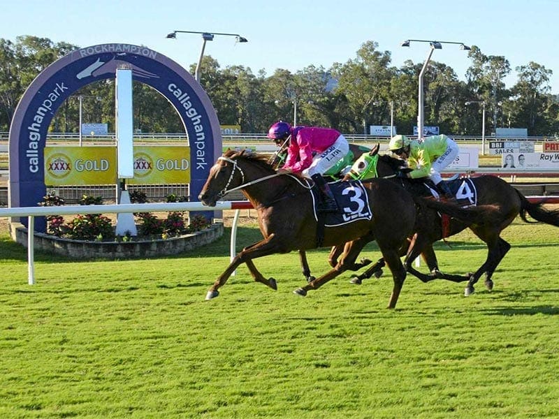 Rockhampton preview - June 1, 2021