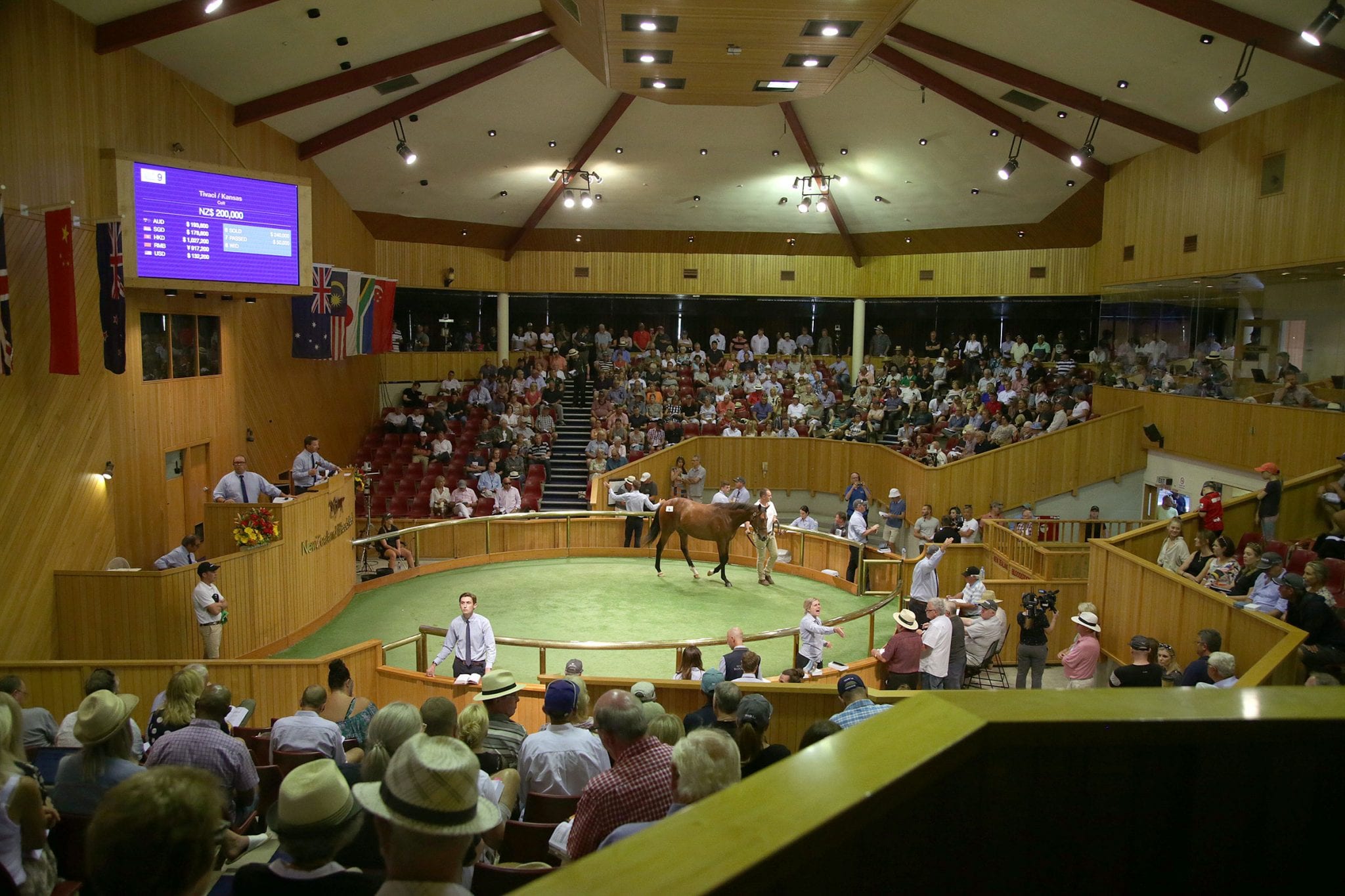New Zealand Bloodstock’s National Yearling Sales Series