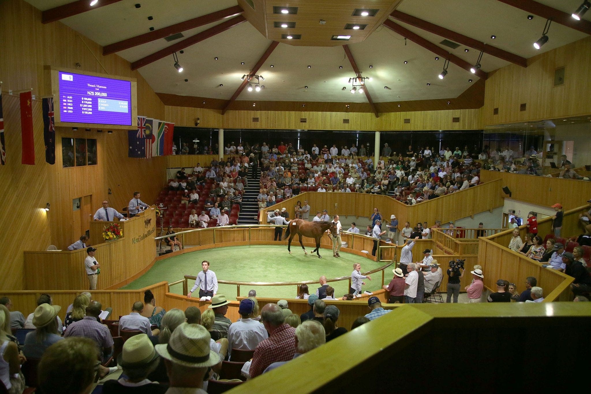 January dates retained for New Zealand Bloodstock Yearling Sale