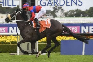 2021 Ranvet Stakes tips & odds | Rosehill | Saturday, March 27